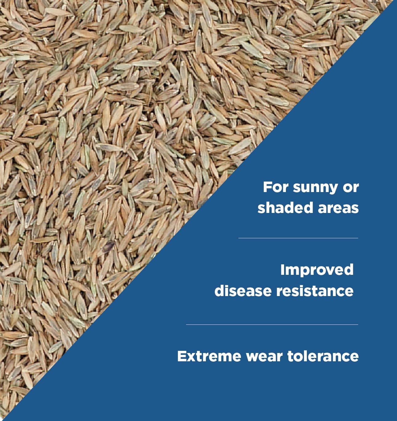 The Andersons Drought Defy - Elite Cool-Season Grass Seed Mix - 25 lbs.