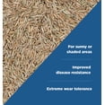 thumbnail image 3 of The Andersons Drought Defy - Elite Cool-Season Grass Seed Mix - 25 lbs., 3 of 5