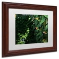 thumbnail image 3 of Trademark Fine Art "Butterflies" Canvas Art by Kurt Shaffer, White Matte, Wood Frame, 3 of 5