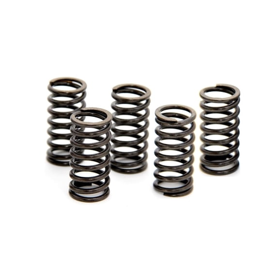 Barnett Standard Clutch Spring Kit (501-58-05076)