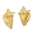 thumbnail image 4 of Auriga Fine Jewelry 14K Yellow Gold 2-D Conch Shell Stud Earrings for Women (L-15.45mm, W-10mm), 4 of 5