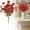 Red, variant on Morning Glory Artificial Flowers for Outdoors 1 Stems 13.8'' Fake Flowers Faux Silk Morning Glory Picks UV Resistant Fake Plants for Planters Vase Table Centerpieces Garden Porch Home Decor Red