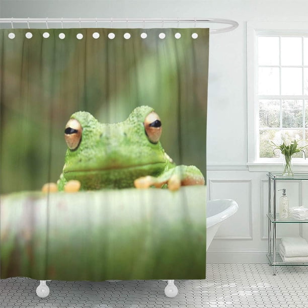 ATABIE Funny Green Tree Frog Impulse Shower Curtain 60x72 inch