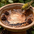 thumbnail image 5 of Copper Bird Feeder Cleaning Disk for Plumage Care and Easy, 5 of 5