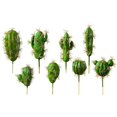thumbnail image 1 of Here's a polished and engaging product description based on the details you provided:\n\n \n\n**8pcs Decorative Fake Cactus Succulent Plants – Assorted, 1 of 3