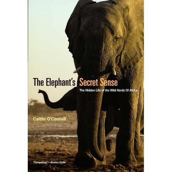 The Elephant's Secret Sense: The Hidden Life of the Wild Herds of Africa, (Paperback)