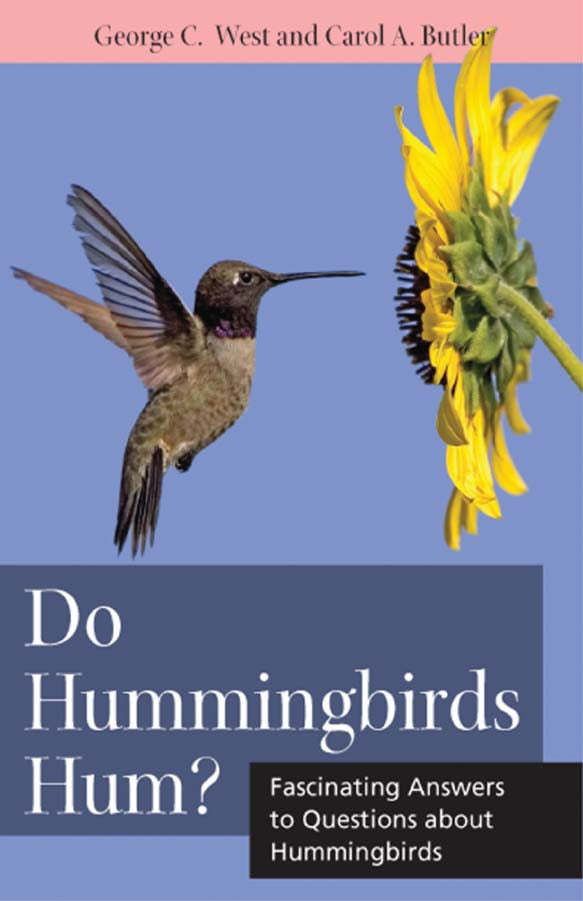 Animal Q & A Do Hummingbirds Hum? Fascinating Answers to Questions