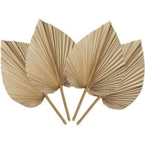 4 Pieces Natural Dried Palm Leaves are Perfect for Leaf Decor, Boho Home Wedding