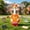 Orange, variant on Funny Back to School Porch Goose Outfit 23" Classroom Goose Clothes Lawn School Garden Patio Yard Outdoor Decorations, Pink