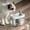 A, variant on GOYDSY Smart Cat Water Fountain, Automatic Drinking Dispenser for Cats and Small Dogs, Silent Circulating Pet Water Feeder with Large Capacity, Hygienic Pet Fountain Clearance Sales Today Deals Prime