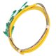 thumbnail image 5 of Cable Pigtail De Fibra Cable Pigtail De 12 Hilos De 1 5 M De Largo Con Baja Pérdida De Inserción Para Instrumentación Para Red De área Local Para Sistema De Comunicación, 5 of 8