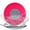 Pink, variant on Zeokiar, Shower Speaker, IPX6 Waterproof Bluetooth Speaker, Loud HD Sound, Portable Wireless Speaker with Suction Cup & Sturdy Hook, Built-in Mic, for Shower, Pool, Beach, Black