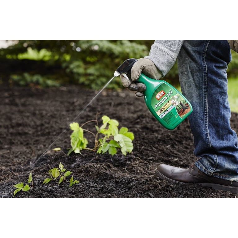 Ortho, Poison Ivy & Tough Brush Killer, 24 oz, Ready-To-Use