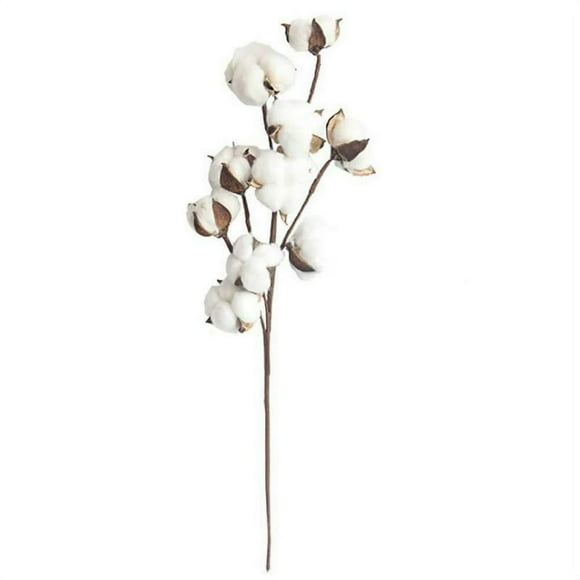 21 Inch Cotton Stems Cotton Boll Branches Farmhouse Rustic Style Vase Display Filler Floral Wedding Centerpiece Decorations