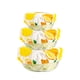 thumbnail image 1 of Cubiertas para tazones, cubiertas reutilizables para tazones, cubiertas elásticas para almacenamiento de alimentos, cubiertas para tazones, tapas reutilizables para alimentos, frutas y sobras, 1 of 7