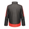thumbnail image 2 of Regatta - Chaqueta Contraste para Hombre (Negro, Rojo Clásico), 2 of 3