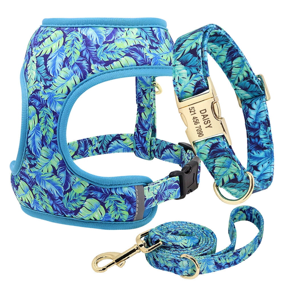 Didog Floral No Pull Dog Harness & Walking Leash & Adjustable Dog Collar Soft Mesh Pad Vest For Small Medium Large Dogs