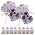thumbnail image 1 of BESTYASH 10Ud Bolsa Sachet Colgante Lavanda Para Guardar Especias Flores Y Objetos Pequeños, 1 of 7