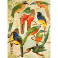 thumbnail image 2 of Emil August Göldi 11x14 Gold Ornate Wood Frame and Double Matted Museum Art Print Titled - Hudu, Surucuas, Arirambas of Matta Virgin (1900-1906), 2 of 4