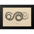 thumbnail image 2 of Wild Apple Portfolio 18x13 Black Modern Framed Museum Art Print Titled - Vintage Viper, 2 of 5