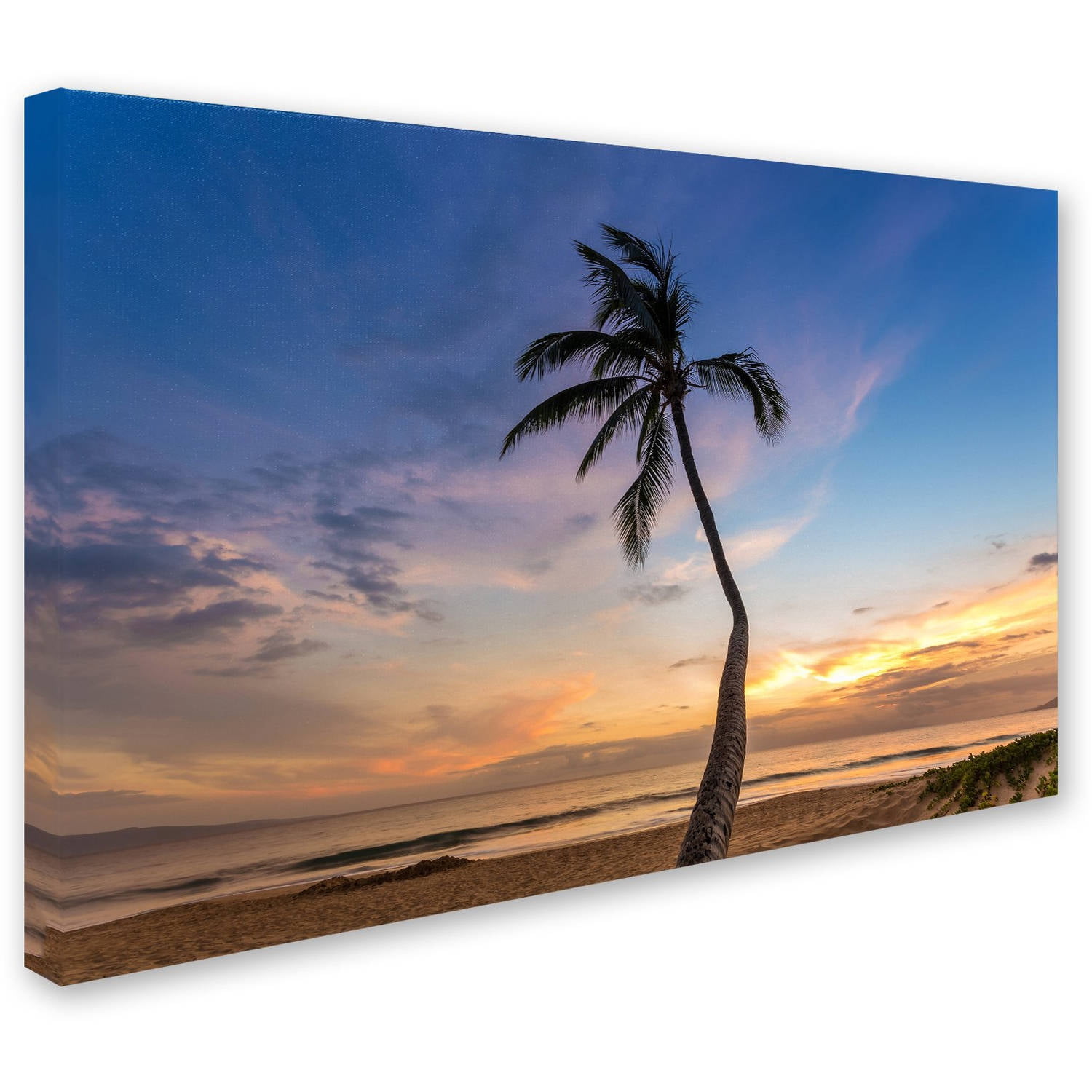 Trademark Fine Art 'Sunset Palm Tree' Canvas Art by Pierre Leclerc
