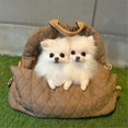 thumbnail image 1 of Nido de invierno cálido para gatos y perros pequeños, tejido de sauce, nido de maternidad para gatos, nido universal para gatos de cuatro estaciones, gris y verde, gris y verde, 1 of 5