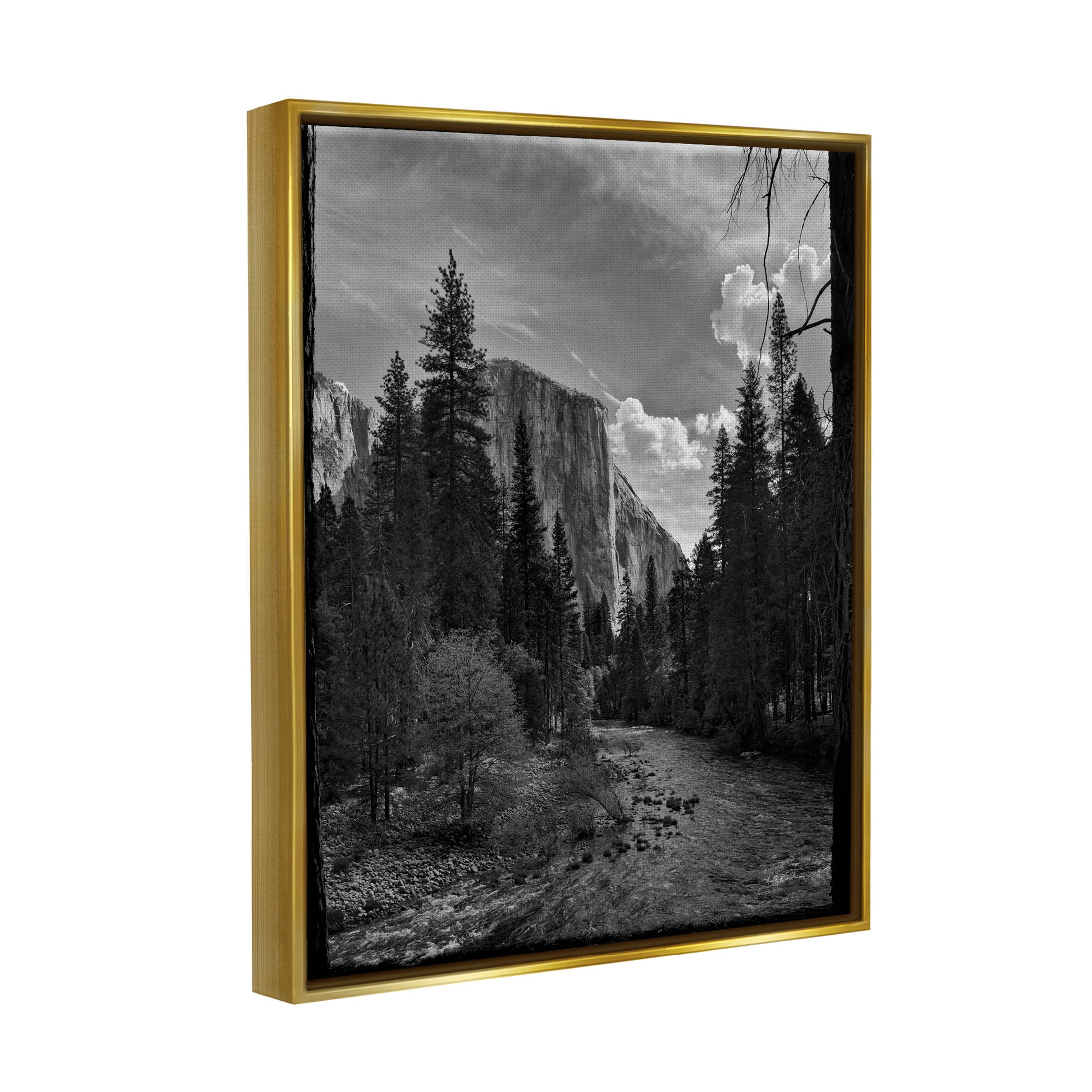 Stupell Industries Yosemite Park Nature Scenery Photograph Metallic Gold Floating Framed Canvas Print Wall Art, Design by Andre Eichman