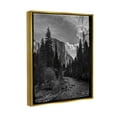 thumbnail image 3 of Stupell Industries Yosemite Park Nature Scenery Photograph Metallic Gold Floating Framed Canvas Print Wall Art, Design by Andre Eichman, 3 of 6