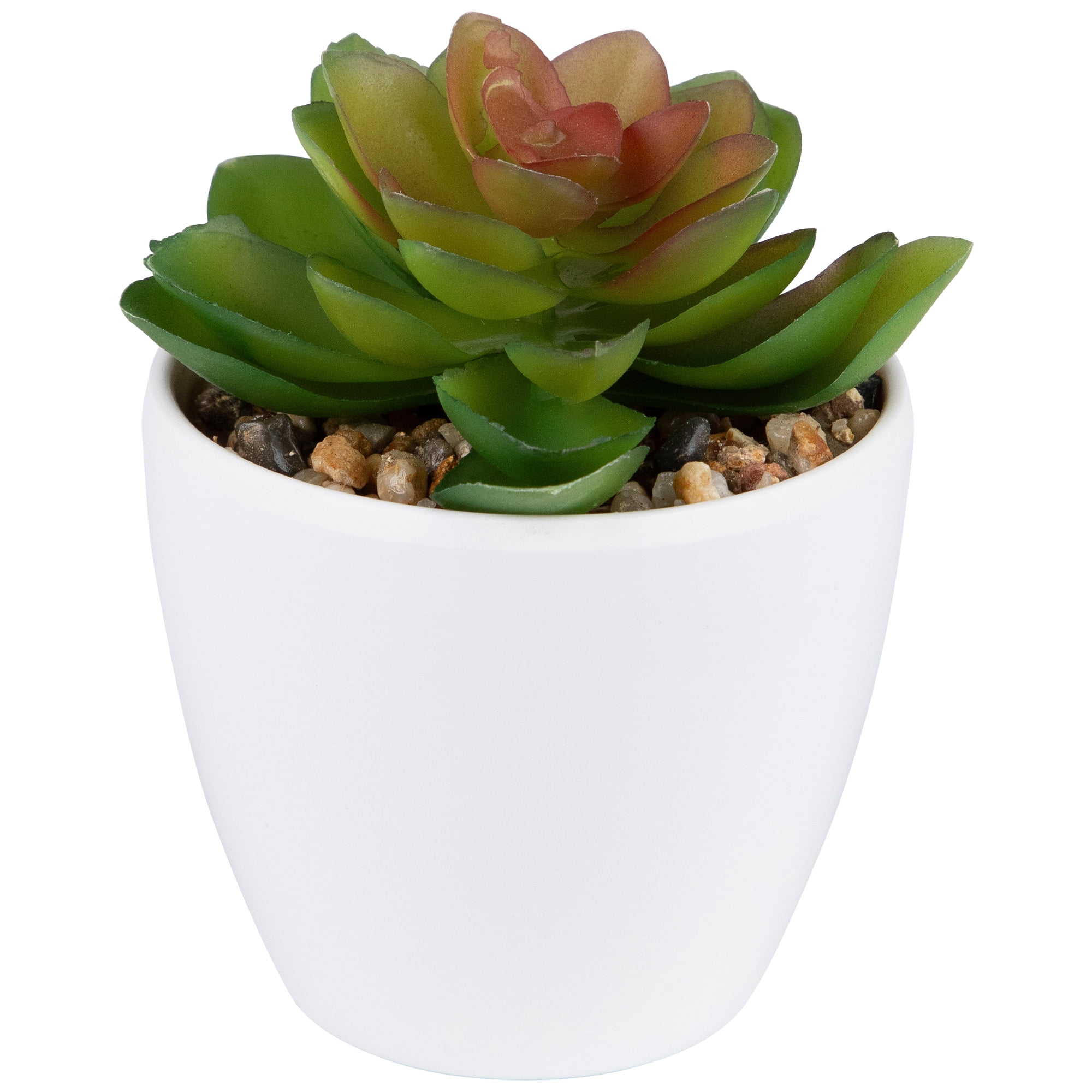 Northlight Mini White Potted Artificial Succulent Plant - 4"