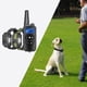 thumbnail image 5 of Collar de adiestramiento para perros eléctrico con control remoto Yuyangstore Collar de entrenamiento Verde gris, 5 of 7