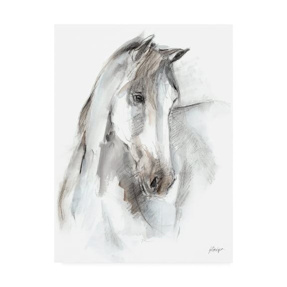 Trademark Fine Art 'Watercolor Equine Study I' Canvas Art by Ethan Harper