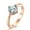 Rose Gold, variant on 2mm Men's Silver/Gold/Rose Gold CZ Claw Ring Band Stainless Steel Ring Size 6-11