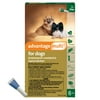 Advantage Multi Topical Solution for Dogs- 3-9 lbs (Green Box), 6 monthly treatments