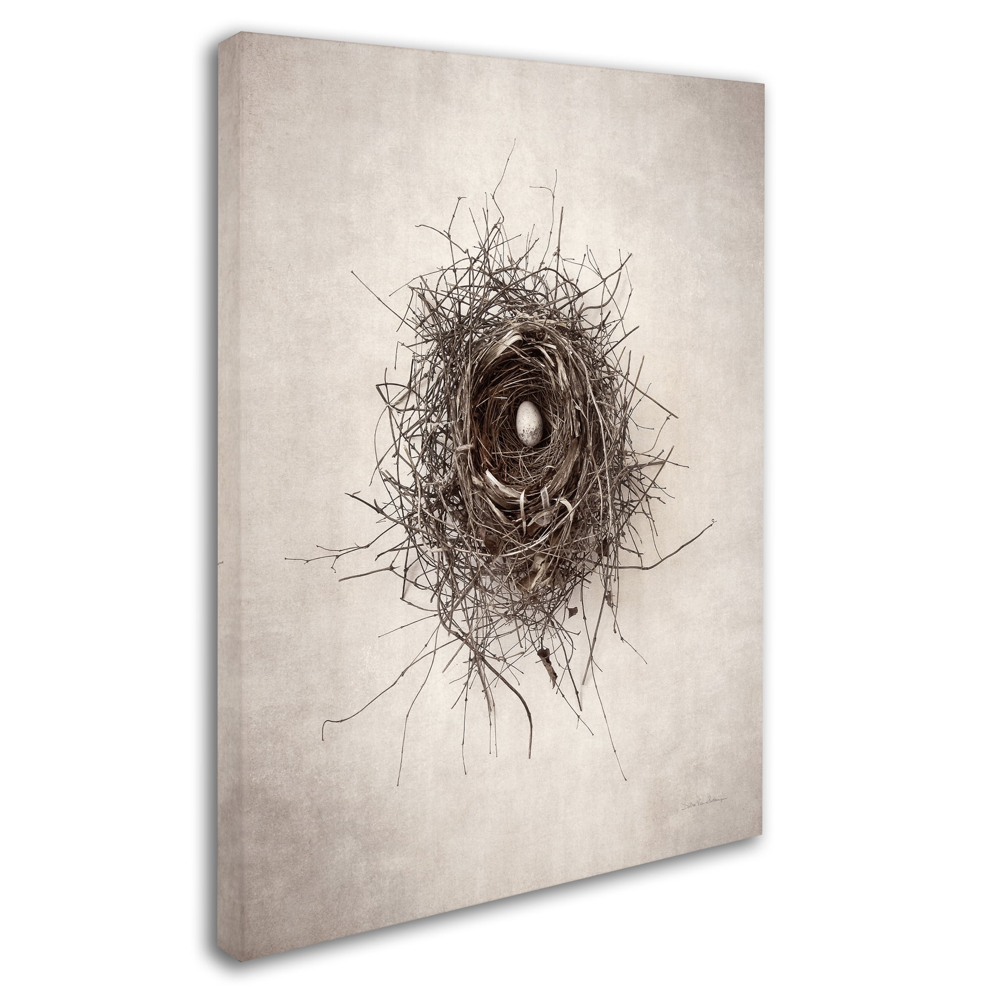 Trademark Fine Art 'Nest I' Canvas Art by Debra Van Swearingen