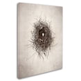 thumbnail image 2 of Trademark Fine Art 'Nest I' Canvas Art by Debra Van Swearingen, 2 of 3