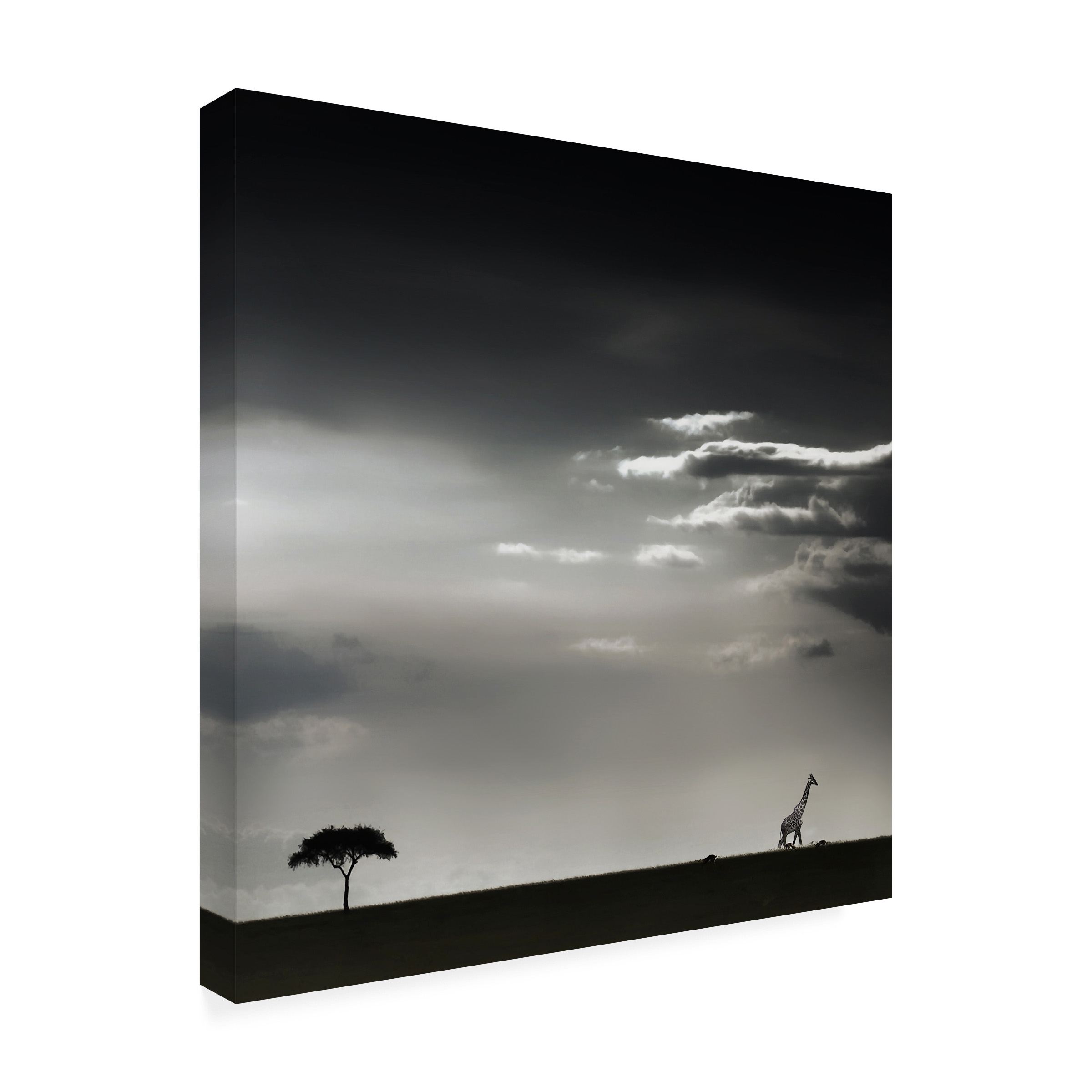 Piet Flour '15 Minutes Of Happiness' Canvas Art