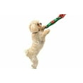 thumbnail image 5 of Pets First MLB Cincinnati Reds Dogs & Cats Durable and Heavy Duty Nylon Field Toy, 5 of 5