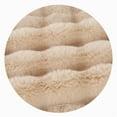 thumbnail image 5 of Taibuwu Faux Fur Blanket, Soft and Fluffy Blanket, Fuzzy Cozy Plush Bubble Blanket for Couch, Sofa and Bed, Thick and Warm Blanket, 63x80 inches, 5 of 7