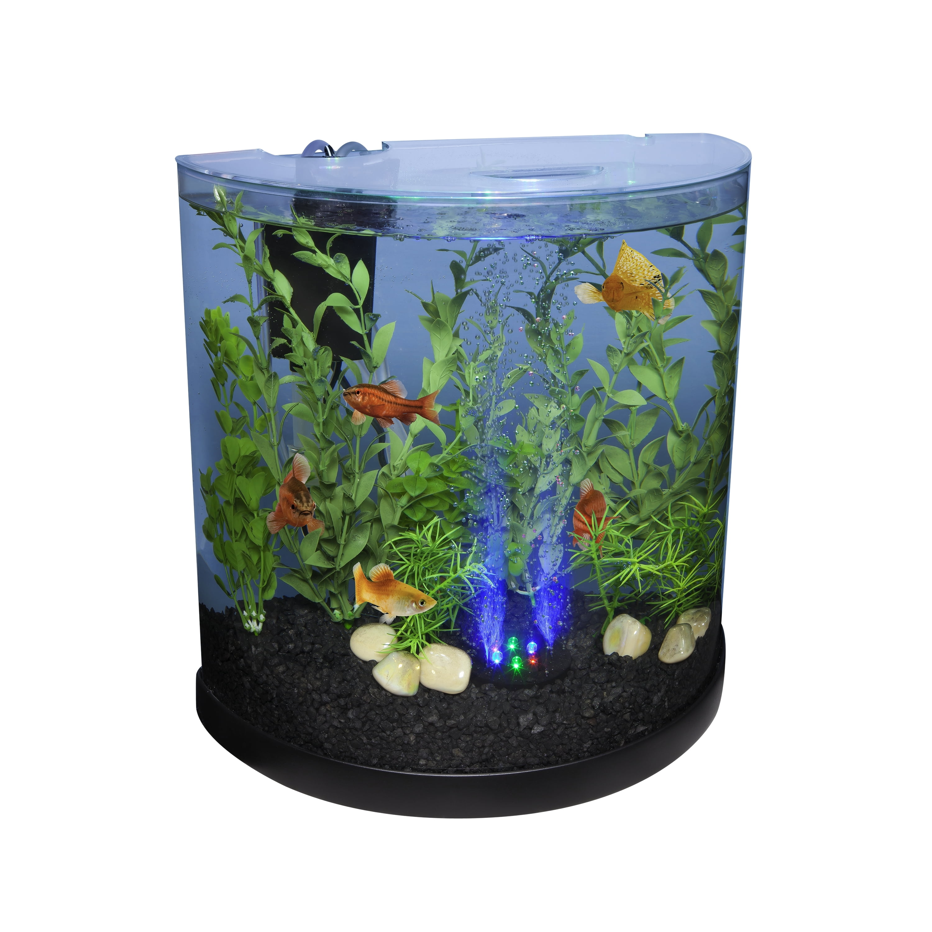 Tetra Bubbling LED Kit 3 Gallons, Half-Moon Fish Aquarium
