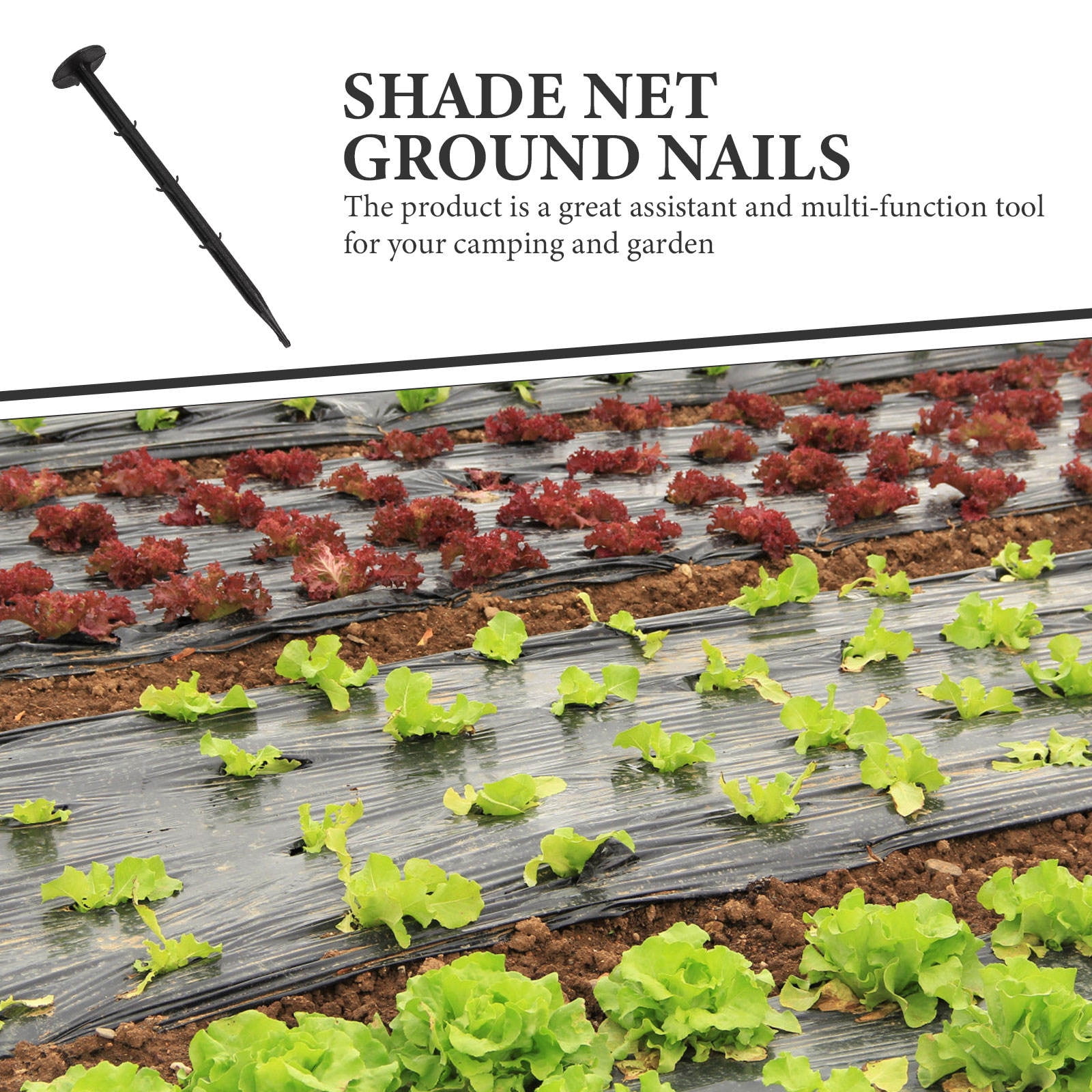 FRCOLOR 100Pcs Black Plastic Ground Pegs Easy Insert Stakes for Tent and Lawn Secure