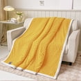 thumbnail image 3 of Mouliraty Soft Fleece Blanket Warm And Soft Layer Double-sided All-season Solid Color Blanket, 3 of 7