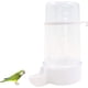 thumbnail image 1 of Comedero automático transparente para pájaros, estación de alimentación automática para pájaros, se puede colgar, comederos de gran capacidad, taza de alimentación, alimentador de agua, 1 of 8