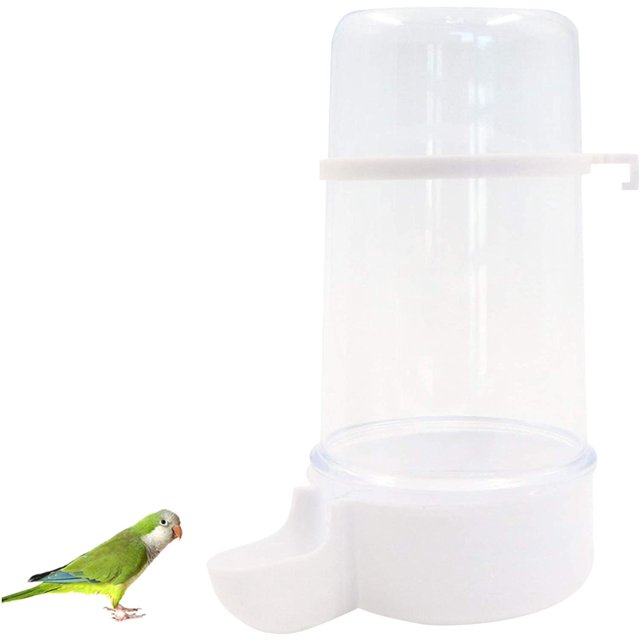 Comedero automático transparente para pájaros, estación de alimentación automática para pájaros, se puede colgar, comederos de gran capacidad, taza de alimentación, alimentador de agua