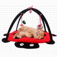 thumbnail image 3 of Alfombra De Juego Para Gatos matsuzay PT001030-00, 3 of 6