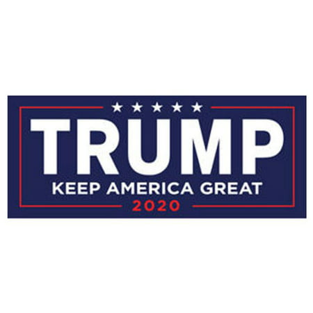 Fancyleo  10PCS  Donald Trump 2020 Election (Best Anti Trump Stickers)