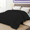 thumbnail image 2 of BedDecor 300 GSM 1 Pcs Solid (Black,King / California King) 100% Egyptian Cotton Base Comforter, 2 of 8