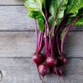 thumbnail image 1 of HIGHGW Beet Seeds (200 Seeds, Early Wonder Beet), 1 of 2