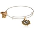 thumbnail image 2 of Alex and Ani Women's Scorpio Two Tone Bangle Bracelet, 2 of 2