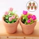thumbnail image 4 of Plantas en macetas,1:12 casa de muñecas en miniatura plantas en macetas de rosas,1/12 casa de muñecas muebles juguetes planta en maceta,1:12 Casa de muñecas Adorno de jardín en miniatura, 4 of 9