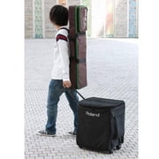 Roland BA330 Portable PA System